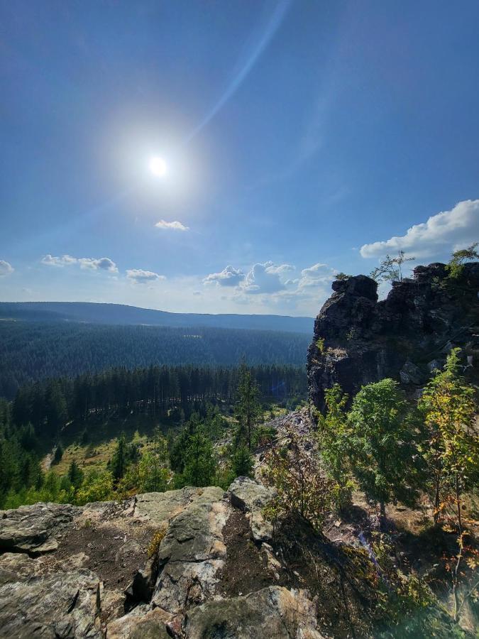 Апартаменты U Zlate Brizy Krusne Hory - Erzgebirge Горни-Блатна Экстерьер фото