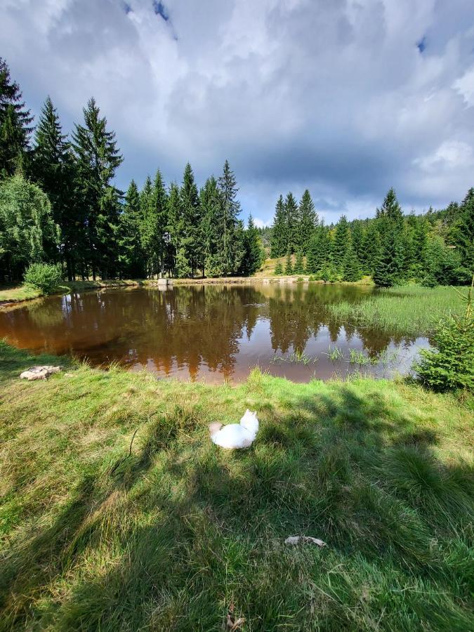 Апартаменты U Zlate Brizy Krusne Hory - Erzgebirge Горни-Блатна Экстерьер фото